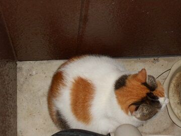 9月7日（20-10）仮