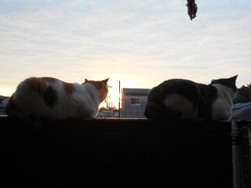 10月2日（30）仮