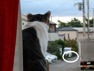 9月25日（6-4）仮