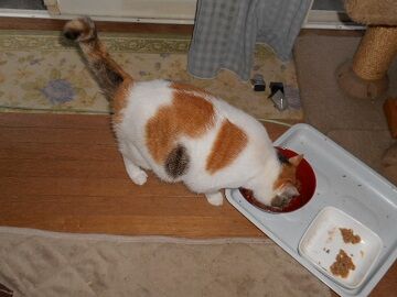 9月12日（6-7）仮