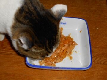 12月17日（22）仮