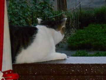 9月12日（5-8）仮