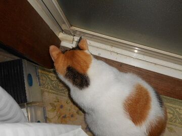 9月28日（4-3）仮