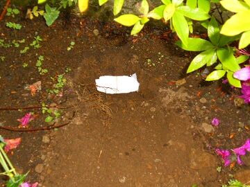 5月10日（45）仮