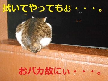 4月12日（47）仮