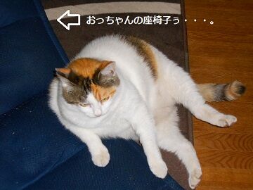 6月25日（35）仮