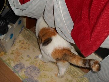 9月17日（2-11）仮