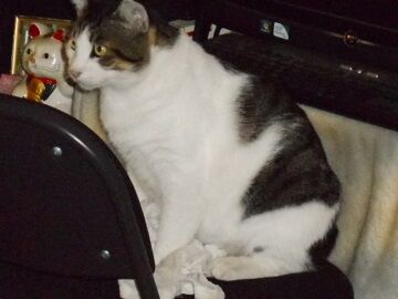 9月20日（68）仮