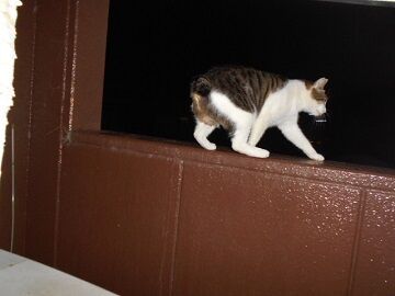 9月26日（20-4）仮