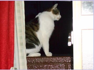 9月29日（11）仮