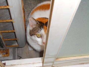 10月21日（18）仮