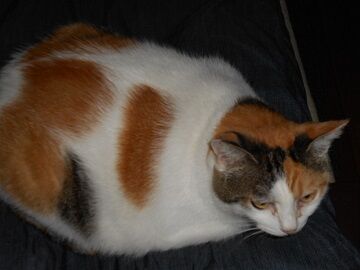 9月22日（7-1）仮