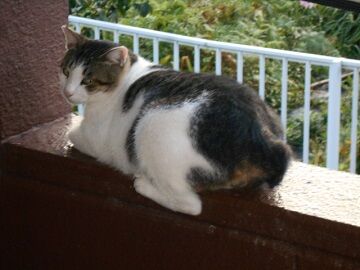 9月8日（6-6）仮