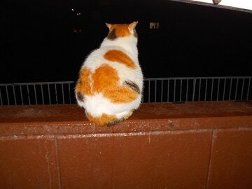 5月19日（22）仮