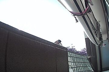 11月10日（91）仮