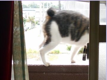 9月30日（44）仮