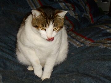 3月30日（19）仮