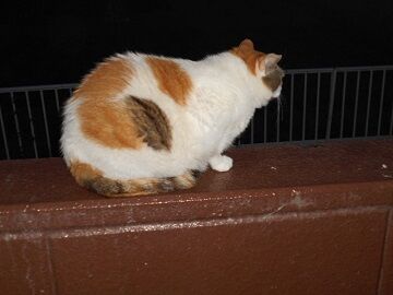 6月24日（12）仮