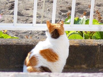 5月10日（11）仮