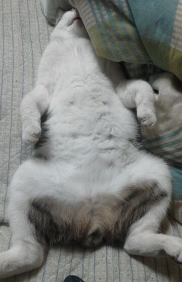 10月30日 (8)使用