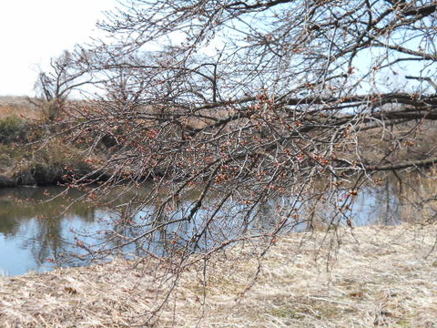 DSCN0128