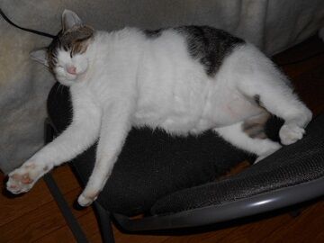 10月2日（13-2）仮