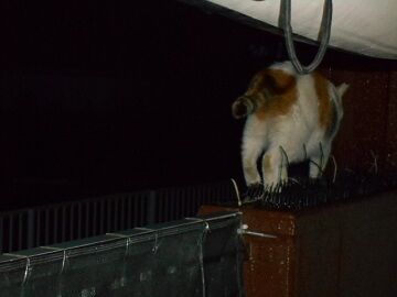 9月3日（18-9）仮