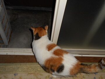 9月26日（20-8）仮