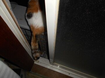 9月23日（2-4）仮