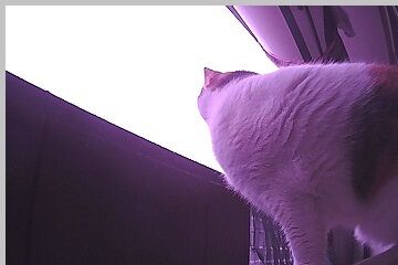 12月30日（22）仮