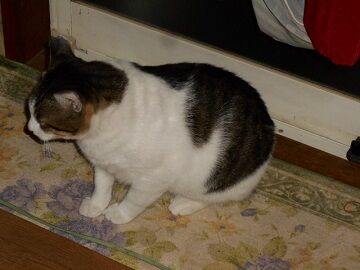 9月30日（20-2）仮