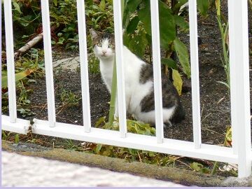 8月28日（110）仮