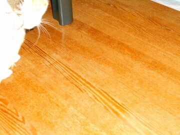 10月22日（16）仮