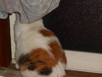 8月20日（03）仮