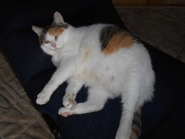 9月24日（7-2）仮