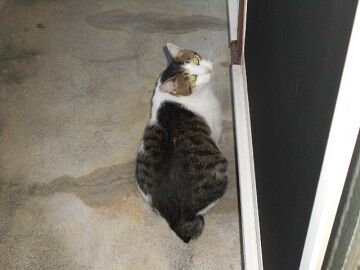 9月11日（5-13）仮