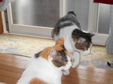 9月23日（9-1）仮