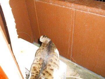 12月12日（37）仮