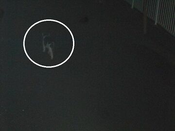 6月20日（66）仮