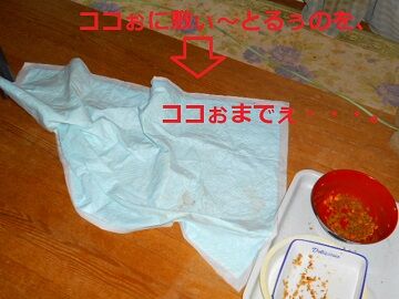 12月4日（22）仮