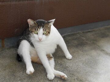 9月13日（7-7）仮