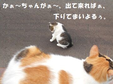 9月25日（6-20）仮