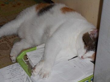 9月16日（23-1）仮