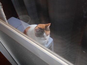 10月2日（6-1）仮