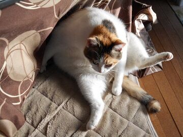 9月30日（7-22）仮