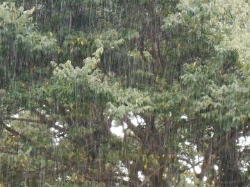 9月25日（14-5）仮