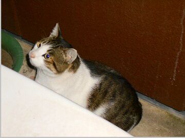 12月8日（65）仮