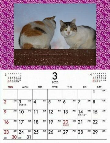 3月