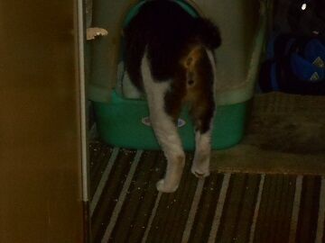 7月30日（22）仮