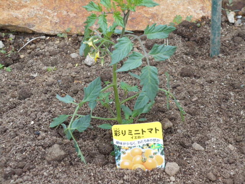 DSCN1031